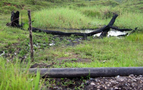 A recently blown oil pipeline - a common sight